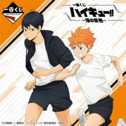 BANPRESTO Kuji - Haikyu!! - A View Of The Top