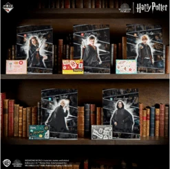 BANPRESTO Kuji - Wizarding World -Banpresto Sales Store kuji kuji wizarding world 35868996993103